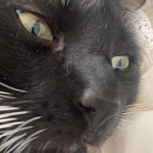 Meet your Posher, Cindy